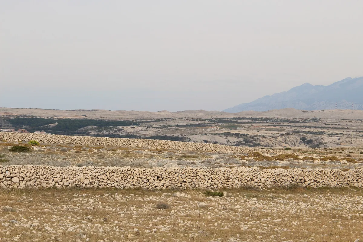 Trockenmauern, die sich durch die karge Landschaft von Pag ziehen